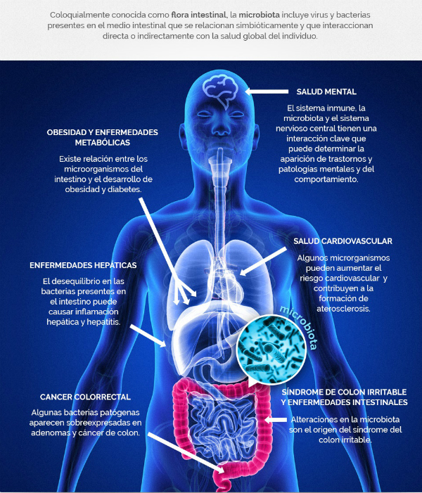 flora-intestinal-salud-infografia