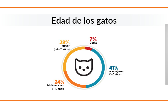 gráfico de las edades de los gatos en los hogares españoles