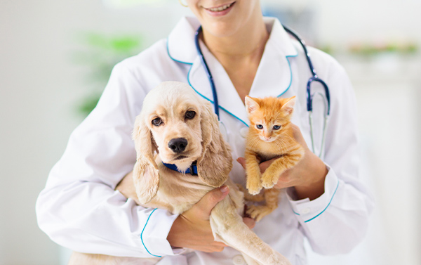 perro y gato en brazos de un veterinario