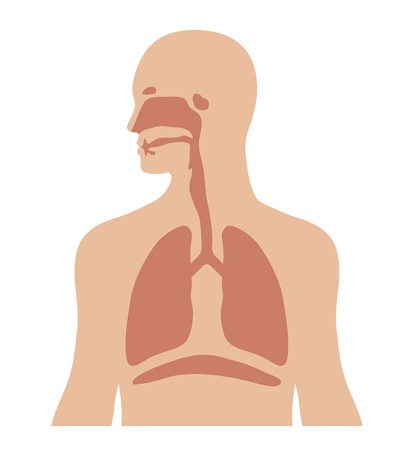 ¿Qué medicamentos se administran por vía inhalatoria?